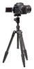 Extendable Tripod